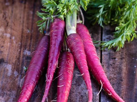 Purple carrot. Things To Know About Purple carrot. 